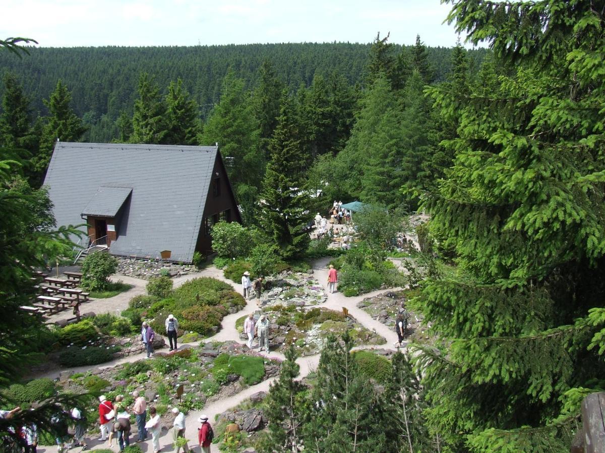 Konsum Gaestehaus Quisisana - Oberhof Оберхоф Экстерьер фото